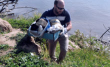 CTS CEO Bobby Reed cleaning trash
